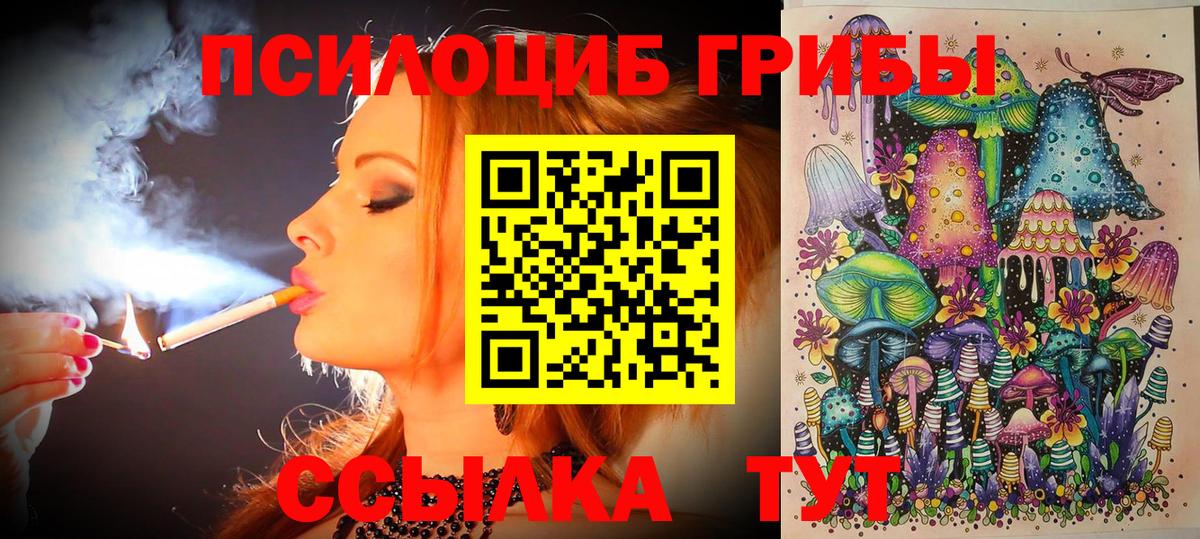 Галлюциногенные грибы Psilocybine cubensis Михайловск
